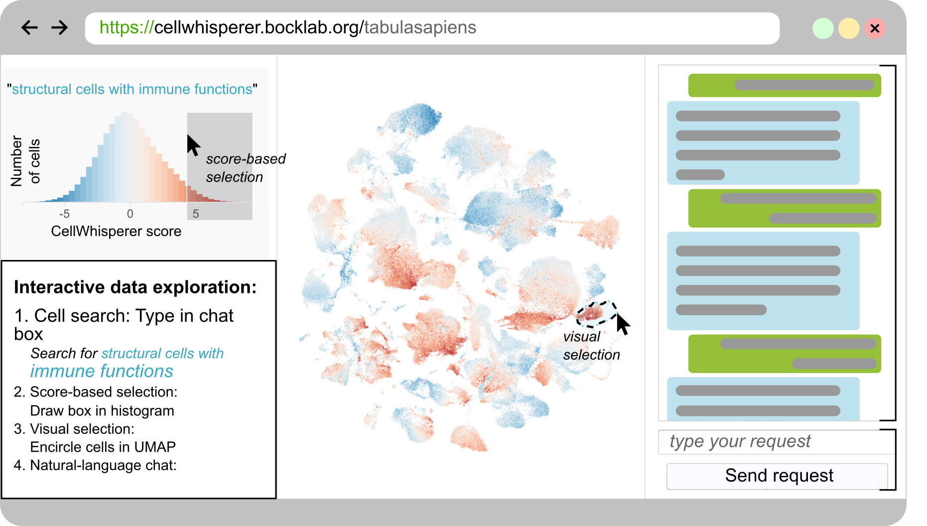 Annotated screenshot of CellWhisperer application